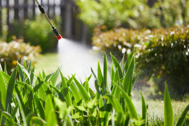 Tamper-Resistant Bait Stations for Rodents in Choctaw