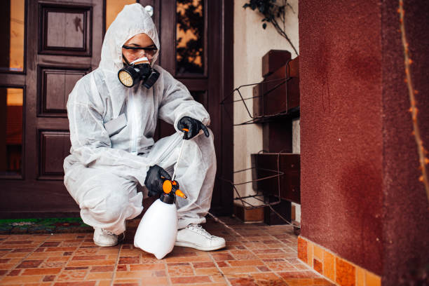Attic and Crawl Space Rodent Treatment in Choctaw
