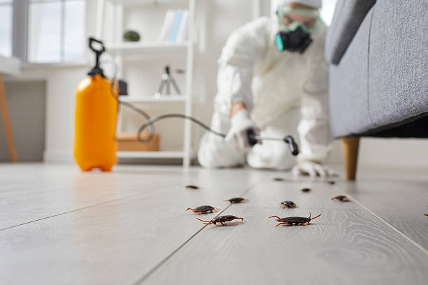 Commercial Rodent Management in Choctaw